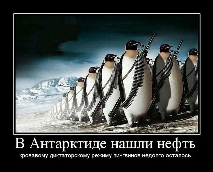 Afficher l&quot;image d&quot;origine