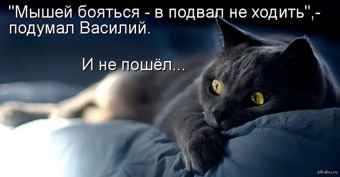 Картинки по запросу волков - бояться!