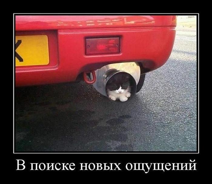 Картинки по запросу табор прикол