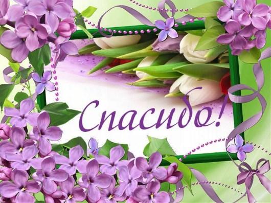 Похожее изображение