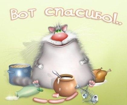 Картинки по запросу вот спасибо