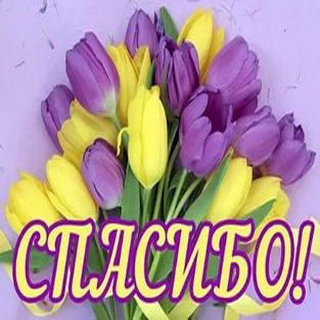 Картинки по запросу спасибо