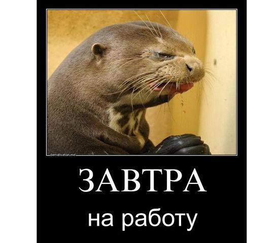 Image Hosted by PiXS.ru