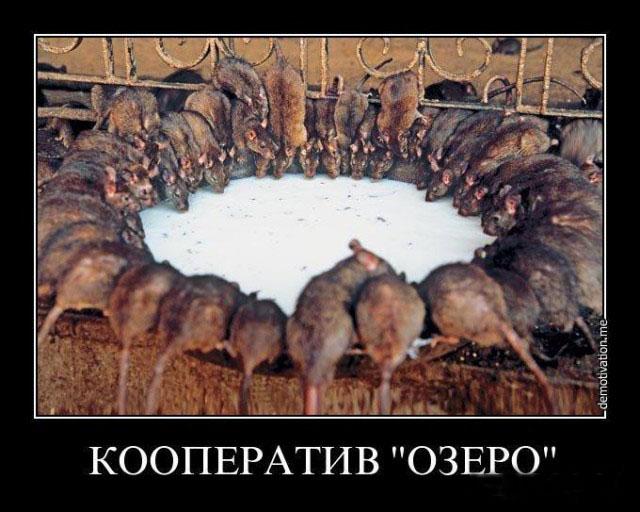 Изображение - savepic.net — сервис хранения изображений