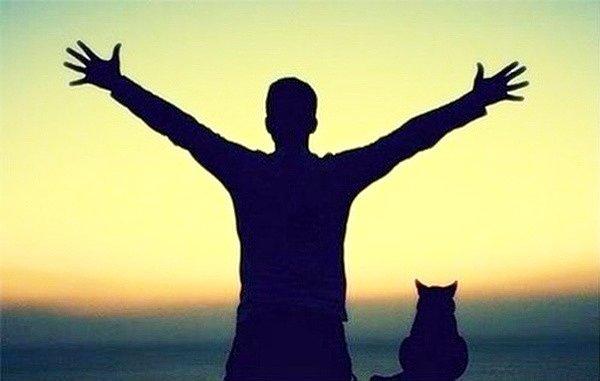 Картинки по запросу язык намеков