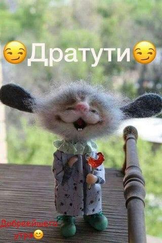 Image Hosted by PiXS.ru