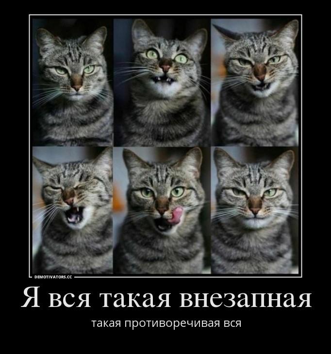 Картинки по запросу "Вся такая внезапная..."