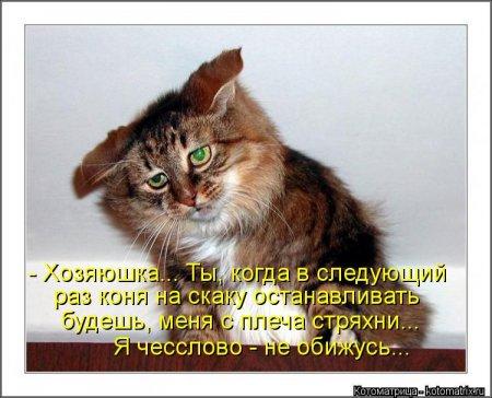 Картинки по запросу прикольные картинки с добрым утром