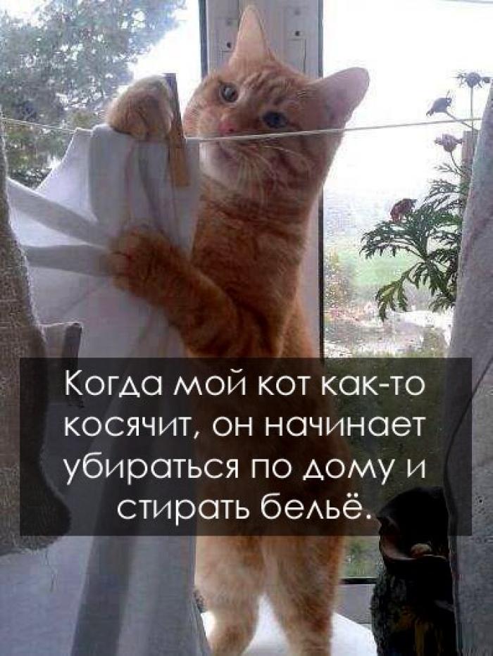 Картинки по запросу хозяйственный. прикол