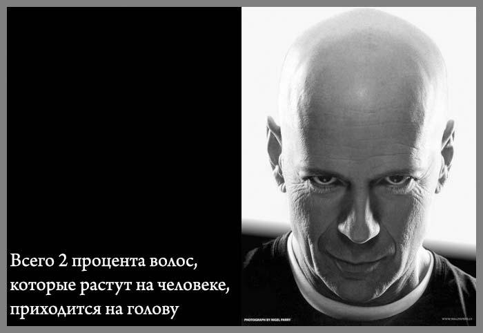 7 (700x482, 89Kb)
