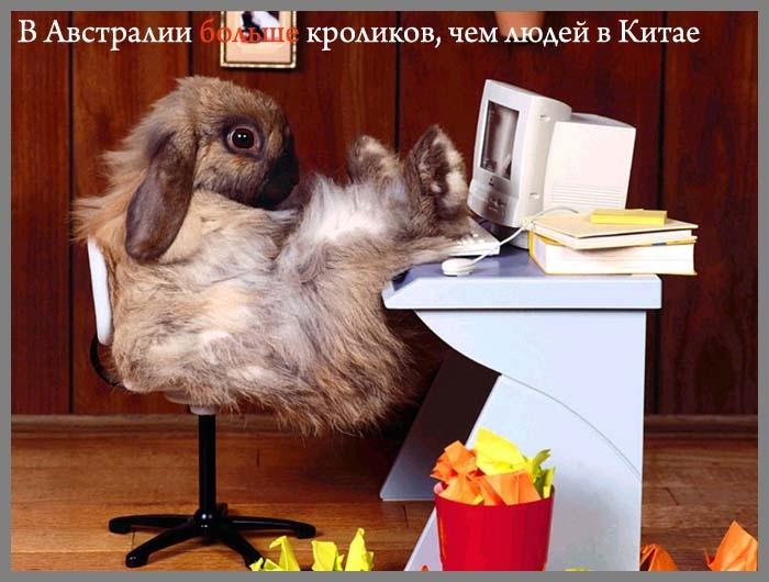 10 (700x530, 196Kb)