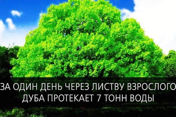 FFzBdXay9eE (604x403, 221Kb)