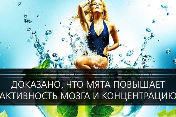 ZXhRDYEZfsk (604x403, 175Kb)