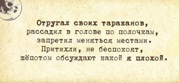 Картинки по запросу упоротый лис тараканы прикол