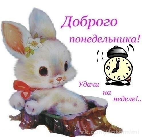 Image Hosted by PiXS.ru