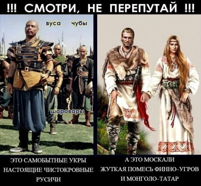 YzLqvJkcrRA.jpg