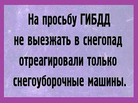 Картинки по запросу зима неожиданно.прикол