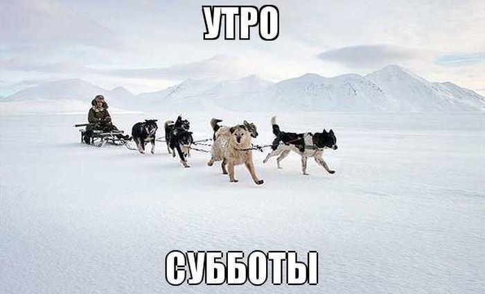 Картинки по запросу хавьер минск