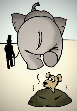 Image Hosted by PiXS.ru