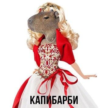 Image Hosted by PiXS.ru