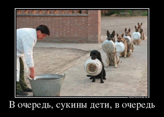 В очередь! 
