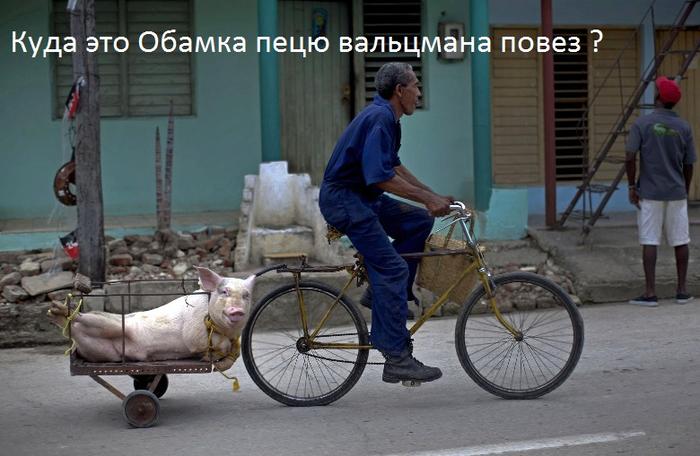 сервис публикации фотографий