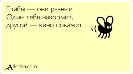 Картинки по запросу грибы прикол