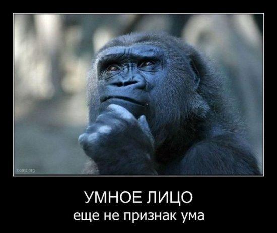 Image Hosted by PiXS.ru