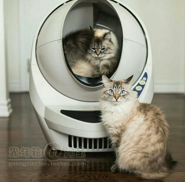 Космическая капсула или кошачий туалет 21 века кот, прогресс, нанотехнологии, длиннопост