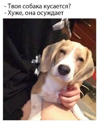 Image Hosted by PiXS.ru