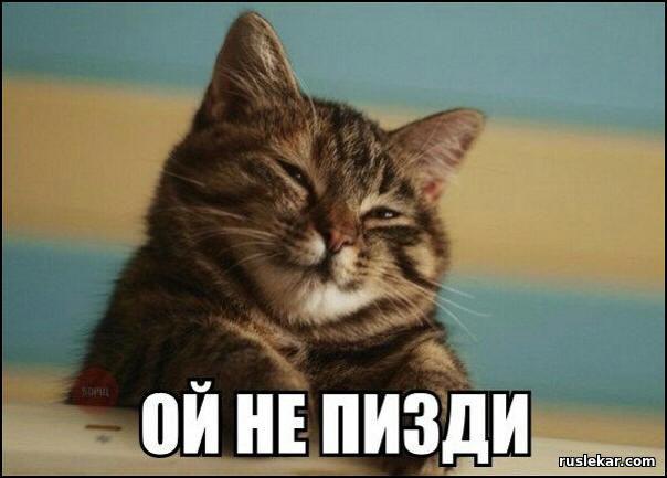 Размещение фотографий