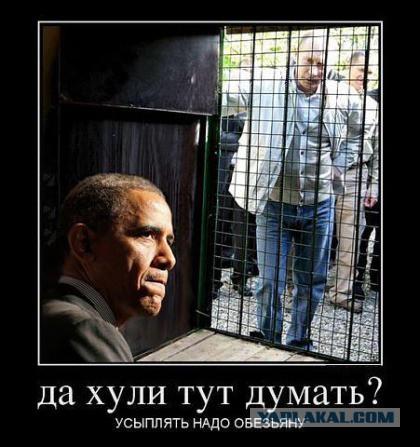 Image Hosted by PiXS.ru