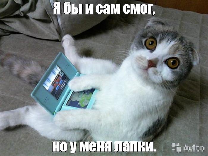 Картинки по запросу у меня лапки