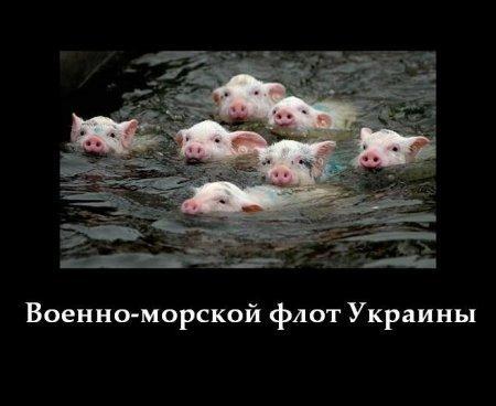 Изображение - savepic.ru — сервис хранения изображений
