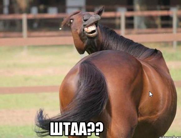 Image Hosted by PiXS.ru