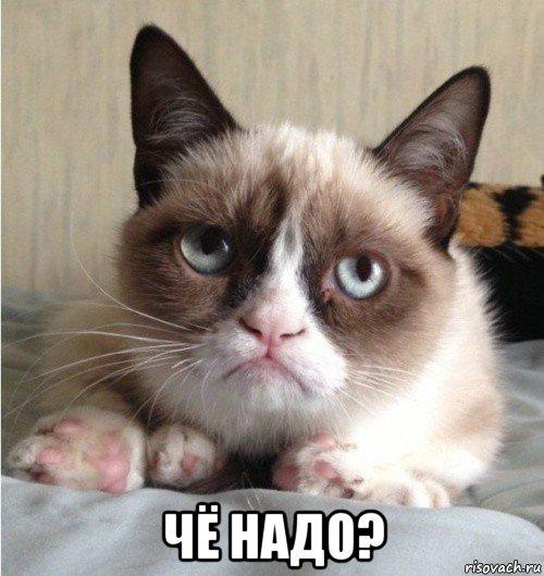 Image Hosted by PiXS.ru