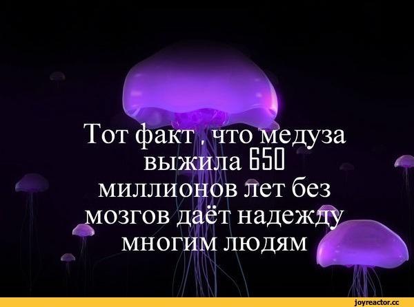 ae5c4d2b13fdc86c862574534093d82e.jpg
