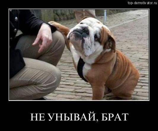 Похожее изображение