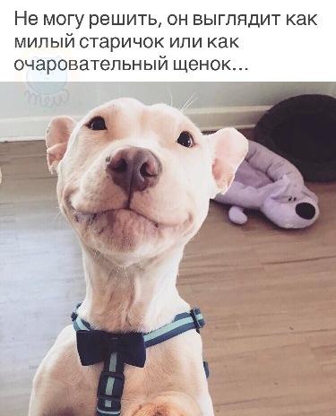 Yes