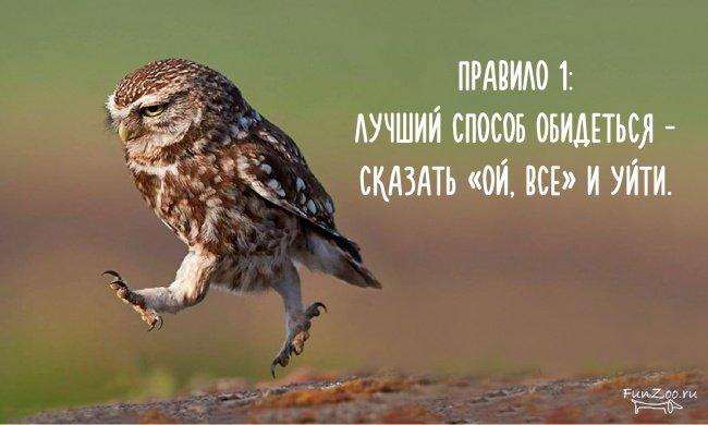 Картинки по запросу смешная картинка с добрым утром