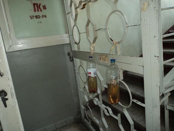 Image Hosted by PiXS.ru