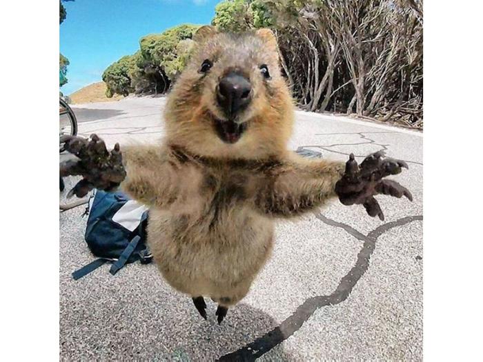 Картинки по запросу обнимашки