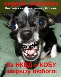 559d00111e4637f3ded45088262898d3.jpg