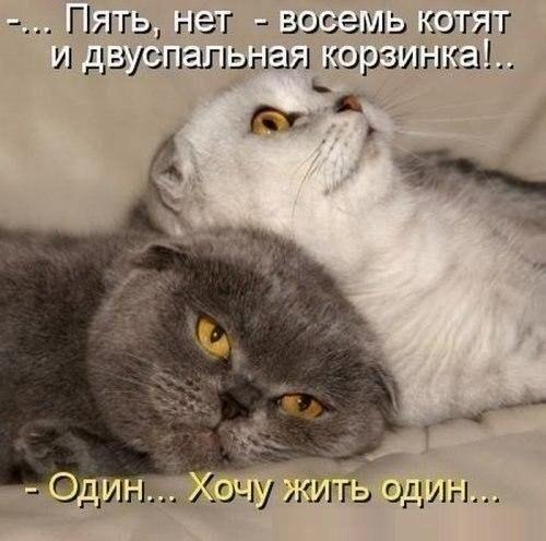 Image Hosted by PiXS.ru