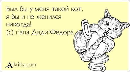 Картинки по запросу был бы у меня такой кот