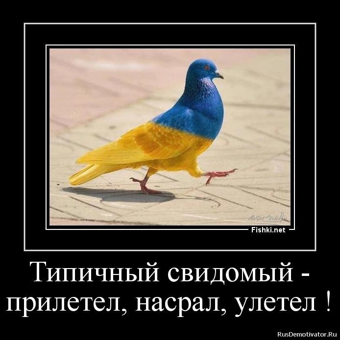 Image Hosted by PiXS.ru