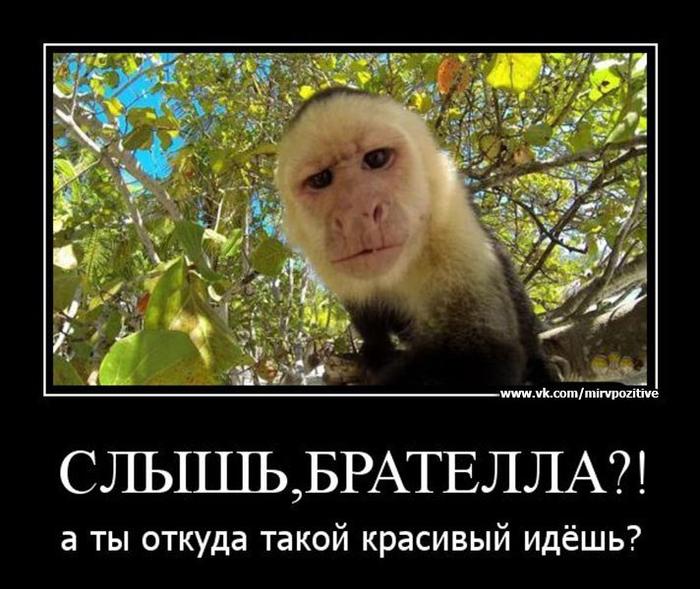 Image Hosted by PiXS.ru