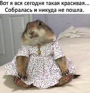 Image Hosted by PiXS.ru