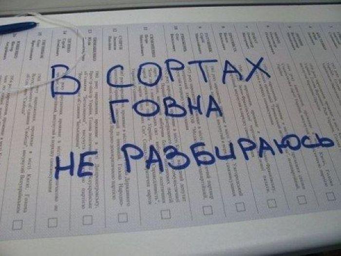 Картинки по запросу выборы прикол