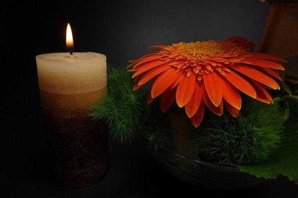 Image Hosted by PiXS.ru